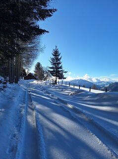 Foto da Dagmar Hofer lungo il tour
