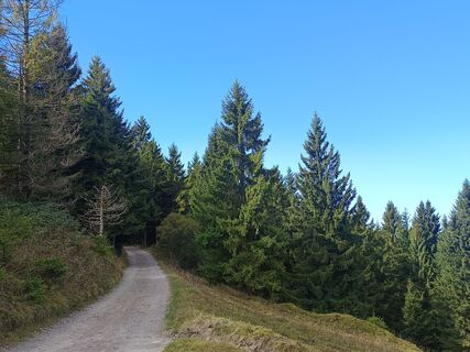 Photo de Gloria 1 le long du parcours