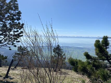 Foto von Siri-Ava entlang der Tour