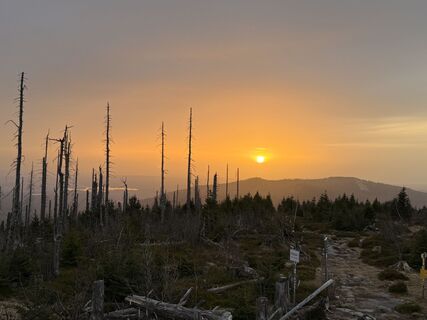 Photo de Dani Geiger / Natur_erleben_dg le long du parcours