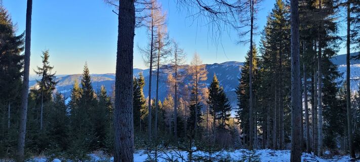 Foto von Nicky entlang der Tour