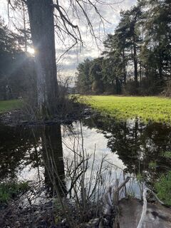 Foto van Stefan Kessel langs de tour