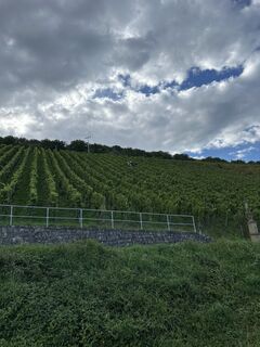 Foto de Thomas Trautwein a lo largo del recorrido