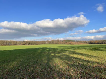 Blick auf den Wolfsberg