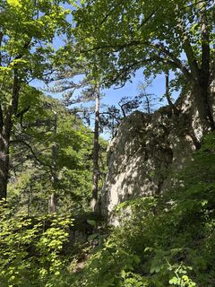 Фото с сайта Andreas Vogel 1 во время экскурсии