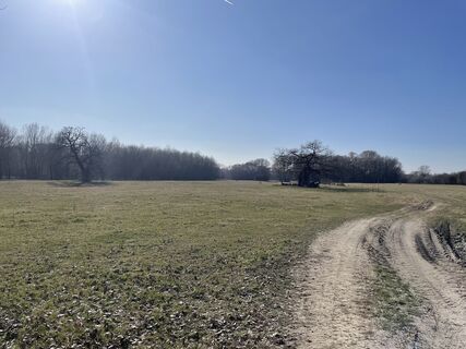 Foto von Bacskai János entlang der Tour