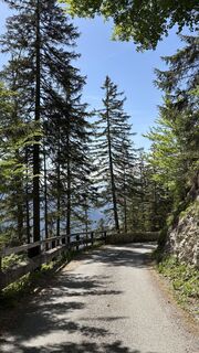 Foto von Brownie85 entlang der Tour