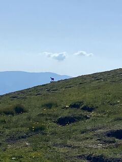 Foto von Cornelia Egger entlang der Tour
