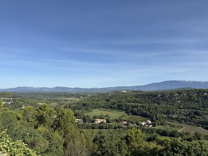 Zdjęcie z Grizzli wzdłuż trasy