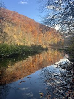 Fotografija s spletne strani Petrikzoli na poti