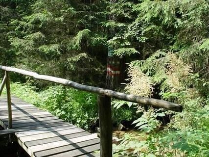 Holzsteg beim Spengerwirt