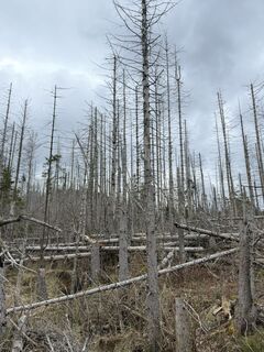 Photo de Christian H. le long du parcours