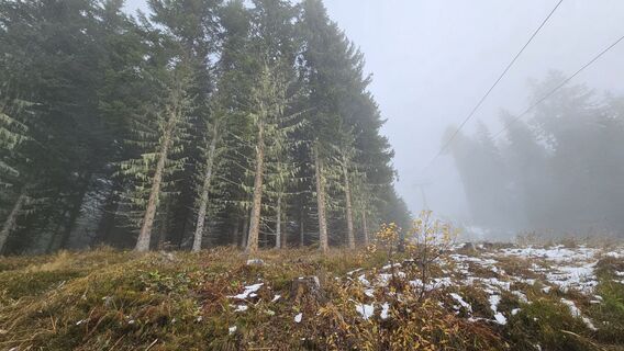 Fotografija s spletne strani Josef Leeb na poti