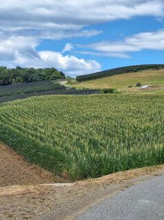 Photo de Isabella Peinsold-Klammer le long du parcours