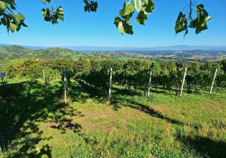 Foto von Dietmar H. entlang der Tour