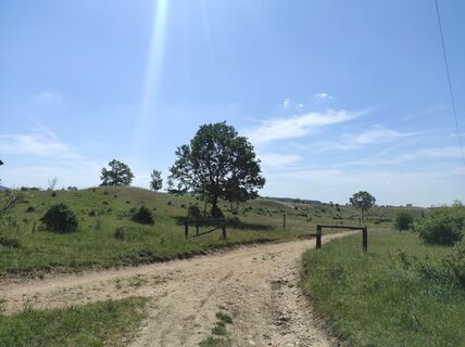 Photo de Làszló Visi le long du parcours