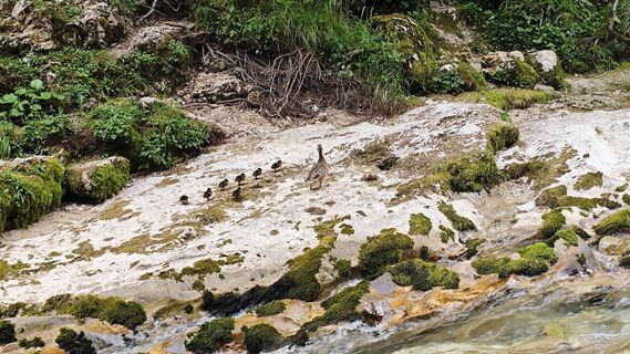 Fotografia z Franca Škarja na trase