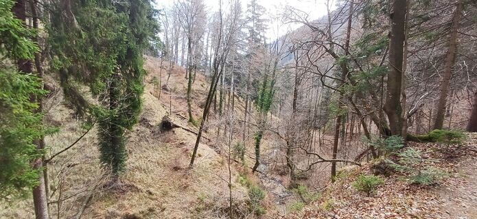 Foto von Bergfex Cros entlang der Tour