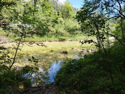 Photo de Angelika Silberhuber le long du parcours