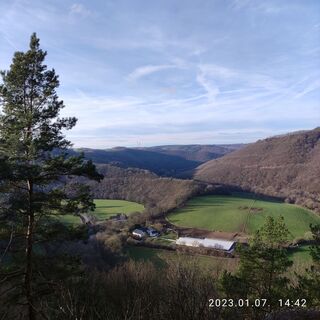 Photo de Edit Szoboszlay le long du parcours