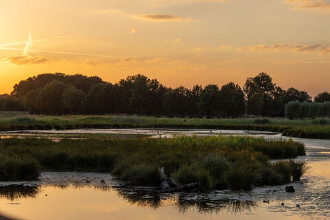 Sonnenuntergang am Rohrdommelprojekt