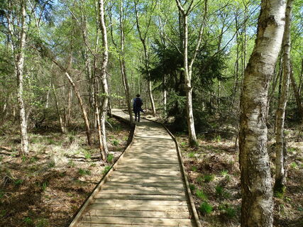 natur-erlebnis-tour ovelgönne.JPG