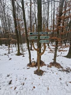 Foto de Felix Brandenburger a lo largo del recorrido