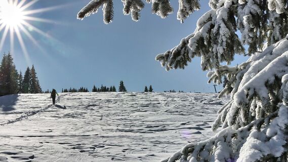 Zemljevid