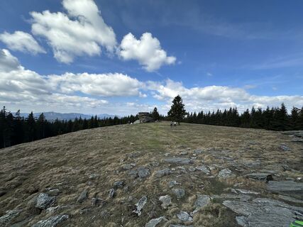 Fotografie z Bergfee Anna na trase
