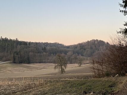 Foto de Hans Niedermeyer a lo largo del recorrido