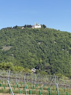 Fotografija s spletne strani Alexander Wastian na poti