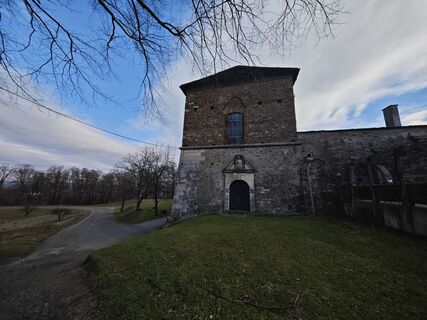 Fotografia z Koisiegi Japankoi-Bonsai na trase