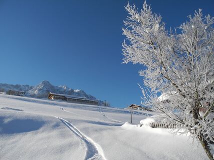 Hochbergrunde Winterwandern Walchsee (2).JPG