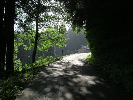 Zemljevid