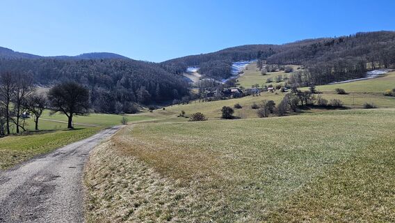 Letzte Schneefelder bei Kreith