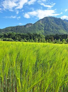 Fotó a Dagmar Hofer honlapról a túra során