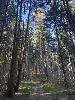 Fotografie z Heinz Sperl na trase
