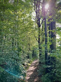 Fotó a Pfalzi honlapról a túra során