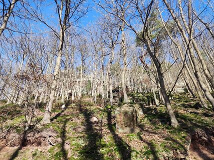 Foto de Edit Szoboszlay a lo largo del recorrido