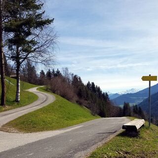 Die überaus sonnige Route folgt abwechselnd einsamen Hofzufahrten, Forstwegen und Waldpfaden.
