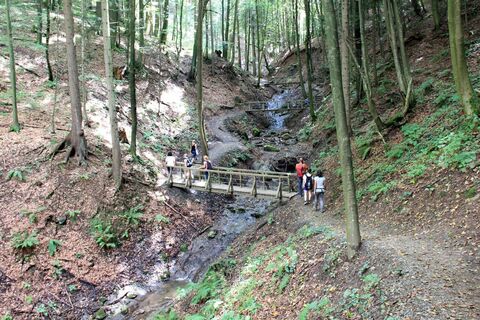 Altenbachklammwanderung