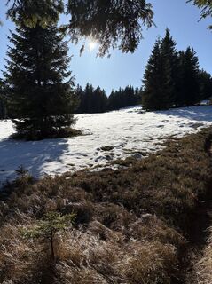 Foto de Reinhard Frewein a lo largo del recorrido