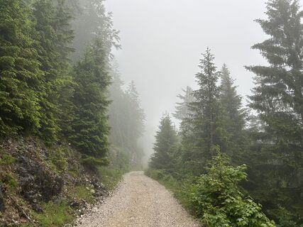 Photo de Elena Marie le long du parcours