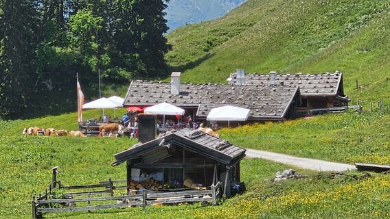 Photo de Grieshofer Gerlinde le long du parcours