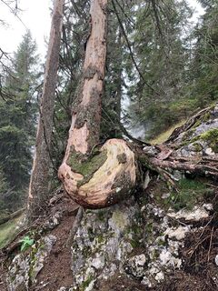 Foto von Matthias Rath entlang der Tour