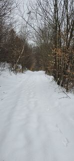 Fotografie z ee57 na trase