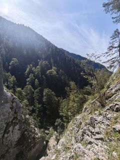 Fotografija s spletne strani Katona Ferk Mariann na poti