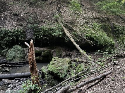 Fotografia z Reti Alicia na trase