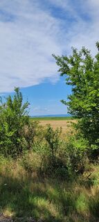 Foto de Nicky a lo largo del recorrido