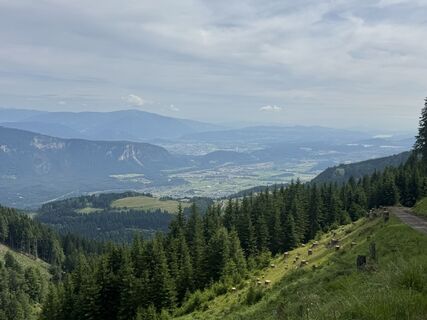 Fotografija s spletne strani Matthias Rath na poti